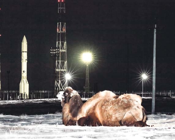 Помощь «кораблю пустыни».